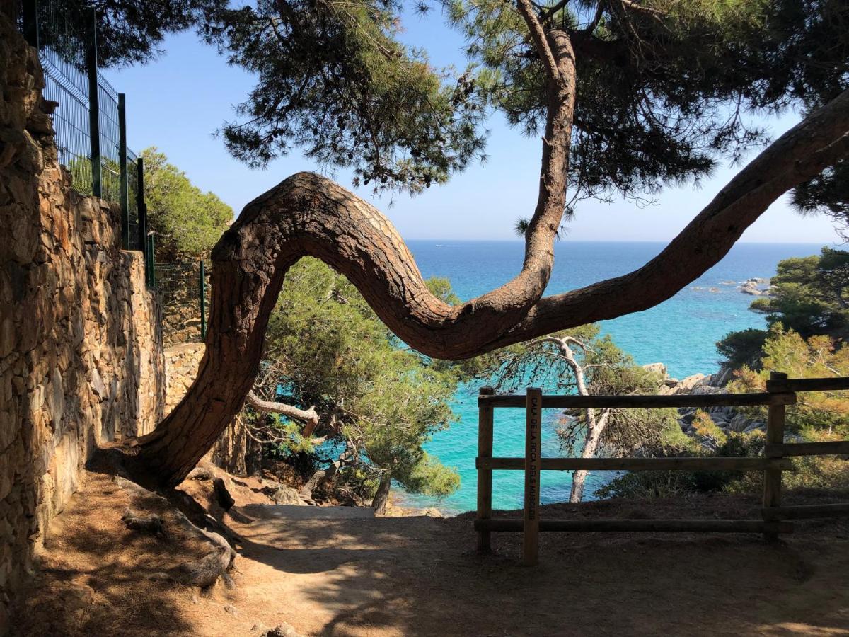 Excepcional 1ª Linea De Mar Platja D'Aro Elypalace 10-2 エクステリア 写真