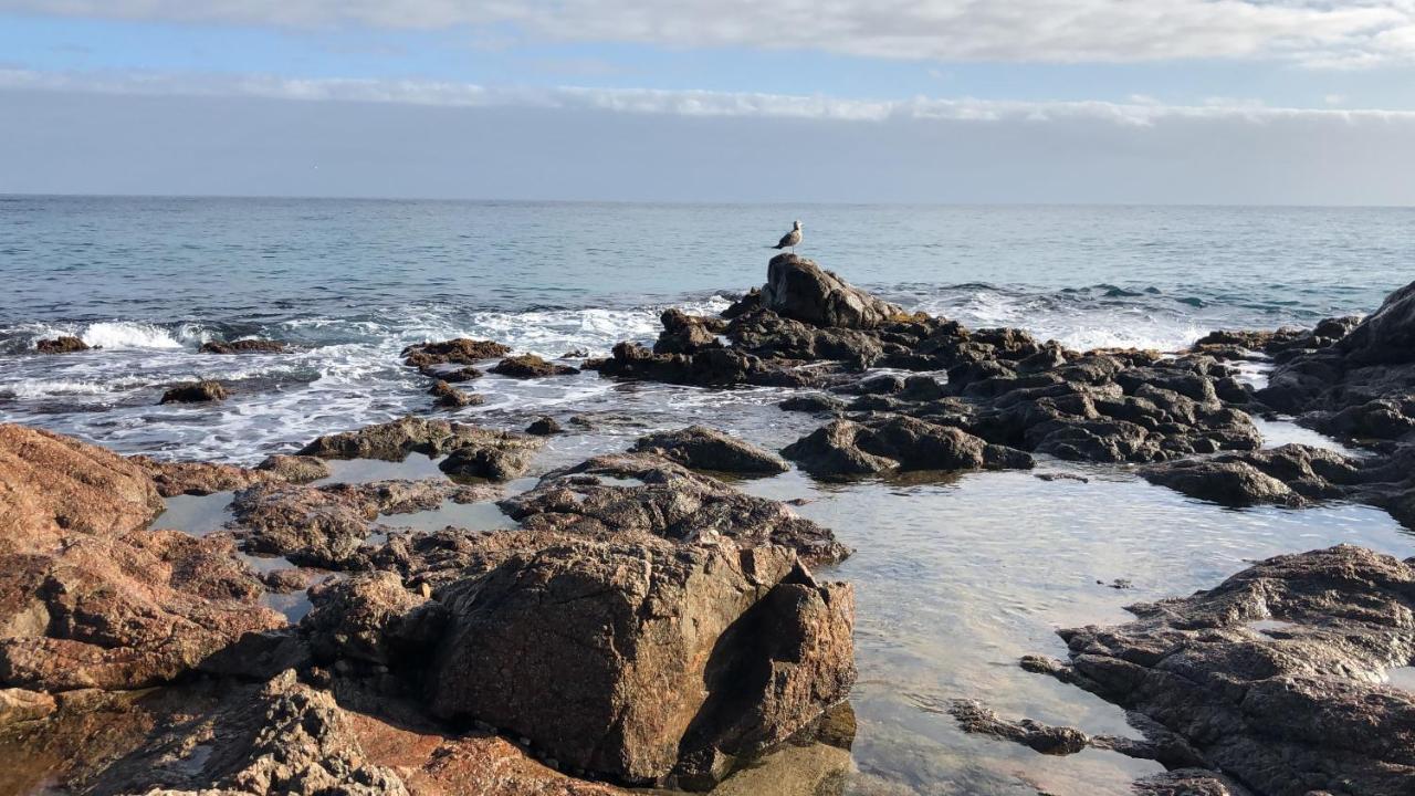 Excepcional 1ª Linea De Mar Platja D'Aro Elypalace 10-2 エクステリア 写真